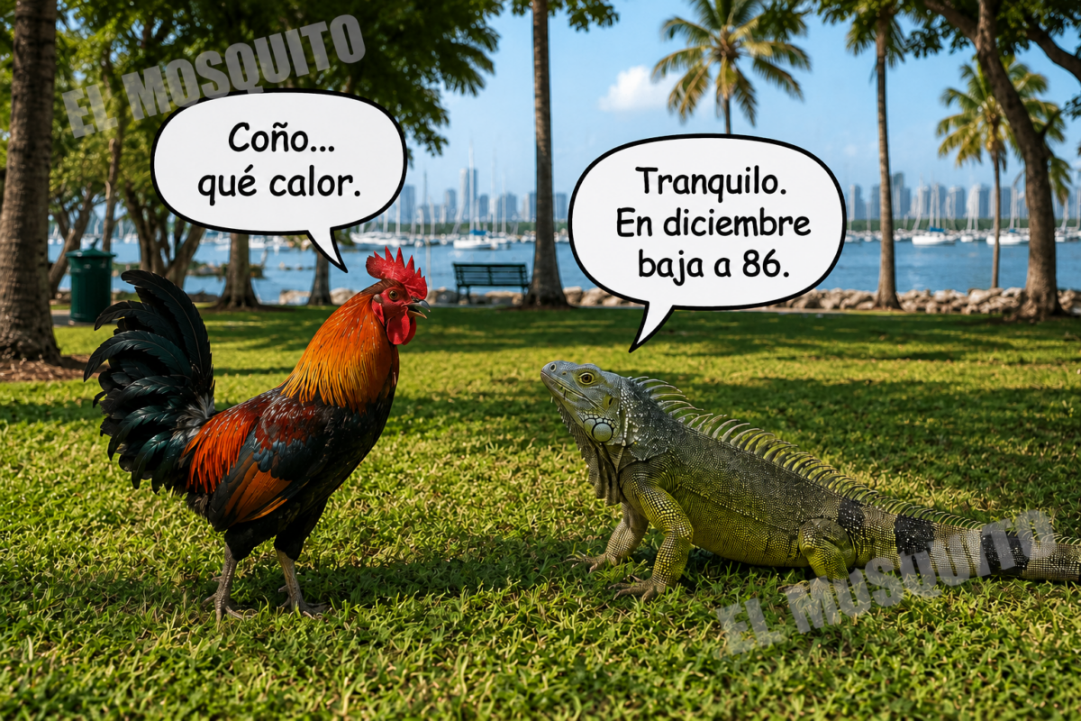 Solo en Miami